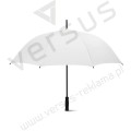 Parasol Swansea