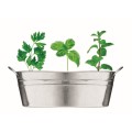 Cynkowa doniczka z nasionami Mix seeds
