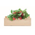 Zestaw do uprawy truskawek w skrzyni Strawberry