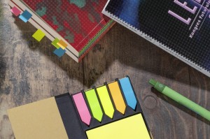 Zestaw karteczek z bambusową okładką Aro