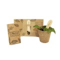 Plant Stick