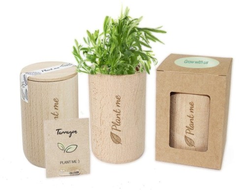 Drewniany okrągły Grow Kit