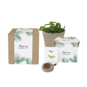 Zestaw Natura Box