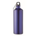 Duży bidon aluminiowy 1000 ml Moss Large