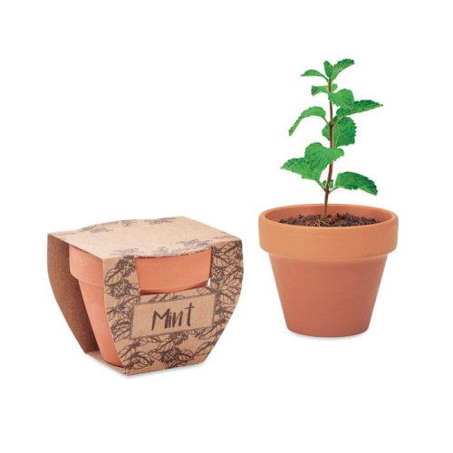 Doniczka z miętą - Mint pot
