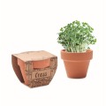 Gliniana doniczka z nasionami rzeżuchy Cress Pot