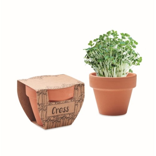 Gliniana doniczka z nasionami rzeżuchy Cress Pot