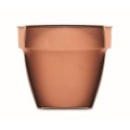 Gliniana doniczka z nasionami rzeżuchy Cress Pot
