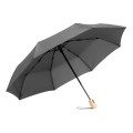 Parasol Calypso