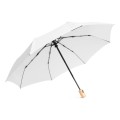 Parasol Calypso