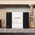 Głośnik bluetooth o dużej mocy 150W Jouncer Speaker