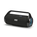Głośnik bluetooth o dużej mocy 2x20W Newton