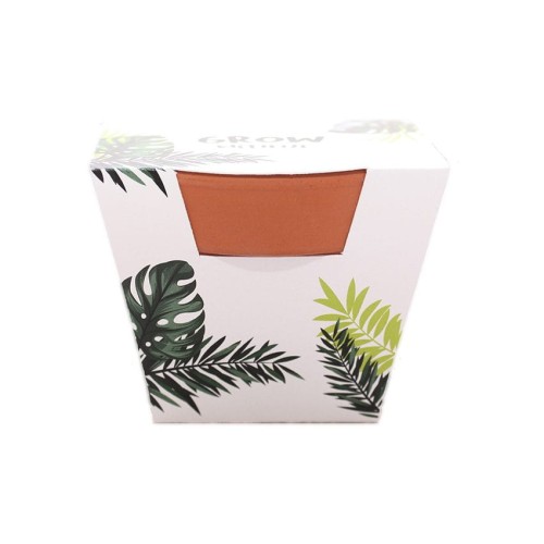 Mini Grow Kit