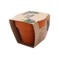 Mini Grow Kit