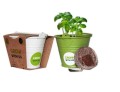 Grow Kit w mini wiaderku