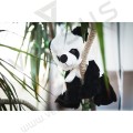 Maskotka Panda