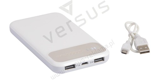 Powerbank SILICON VALLEY 10 000 mAh
