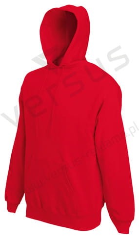 Bluza z kapturem Rasinton