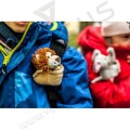 Opaska samozwijająca się lew
