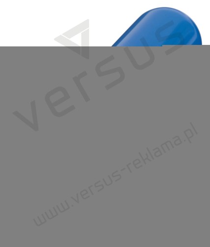 Ładowarka samochodowa DRIVE