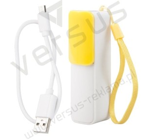 Power bank Slize