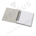 Notes Blue Bear