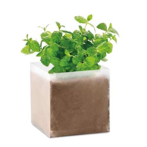 Torba z nasionami do uprawy mięty Mint