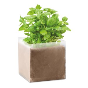 Torba z nasionami do uprawy bazylii Basil