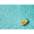 Duży materac plażowy w kształcie ananasa Pina