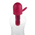 Butelka Bobble INFUSE FERN 0,6L