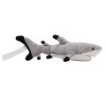Maskotka rekin Shark