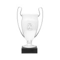 Plastikowe trofeum puchar