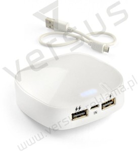 Powerbank 6000 mAh Dual