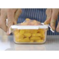 Lunch box Delect 900 ml
