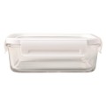 Lunch box Delect 900 ml