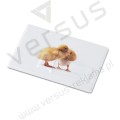 Pendrive MEMORAMA 4 GB