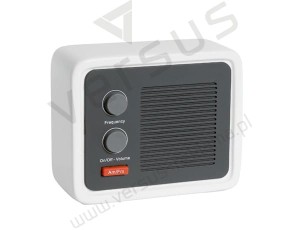Radio ICE RADIO