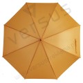 Parasol Winterthur