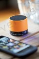 Głośnik Bluetooth NEW LIBERTY