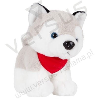 Pies husky z czerwoną chustką pod nadruk