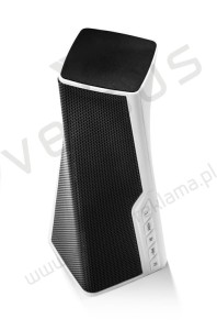 Głośnik bluetooth Dub